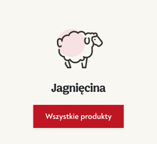 jagnięcina